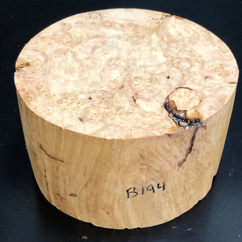 7"x4" KD Maple Burl Wood Bowl Turning Blank (#00194)