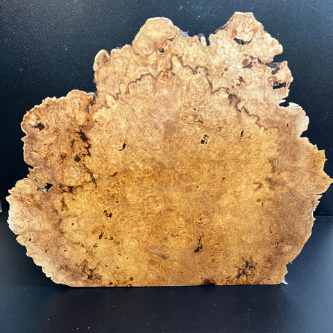 14"x12"x3" (max height) KD Live Edge Maple Burl Wood Blank (#0020)