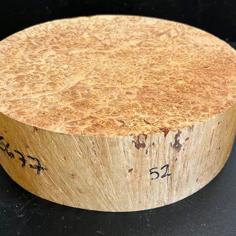 11"x3" KD Maple Burl Wood Bowl Turning Blank (#0052)