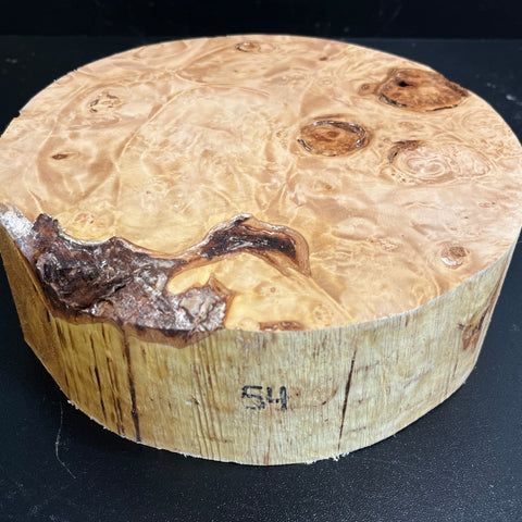 8x2.5 KD Maple Burl Wood Bowl Turning Blank (#0054)