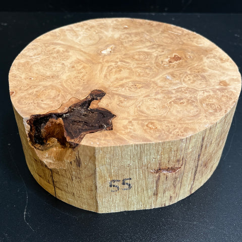 6.5"x2.5" KD Maple Burl Wood Bowl Turning Blank (#0055)
