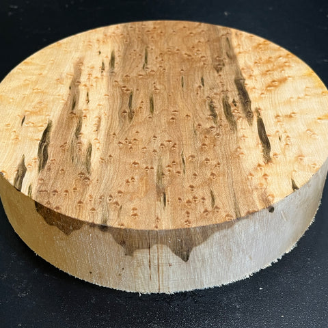 8"x2" KD Exhibition Grade Birdseye Maple Wood Bowl Turning Blank (#00897)
