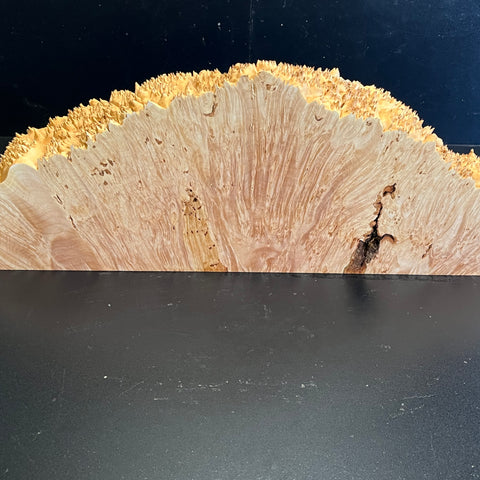 21"x7"x3" (max height) KD Live Edge Maple Burl Wood Blank (#0021)