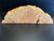 21"x7"x3" (max height) KD Live Edge Maple Burl Wood Blank (#0021)