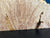 21"x7"x3" (max height) KD Live Edge Maple Burl Wood Blank (#0021)