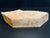 14"x6"x3" (max height) KD Live Edge Maple Burl Wood Blank (#0022)
