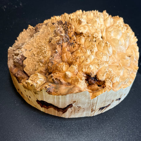 8x2.5 (max height) KD Live Edge Maple Burl Wood Blank (#0023)