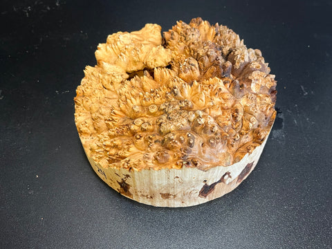 7"x2.5" (max height) KD Live Edge Maple Burl Wood Blank (#0024)