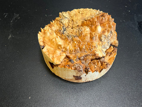 5"x2" (max height) KD Live Edge Maple Burl Wood Blank (#0025)