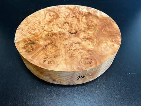 10.5"x2" KD Maple Burl Wood Bowl Turning Blank (#0072)