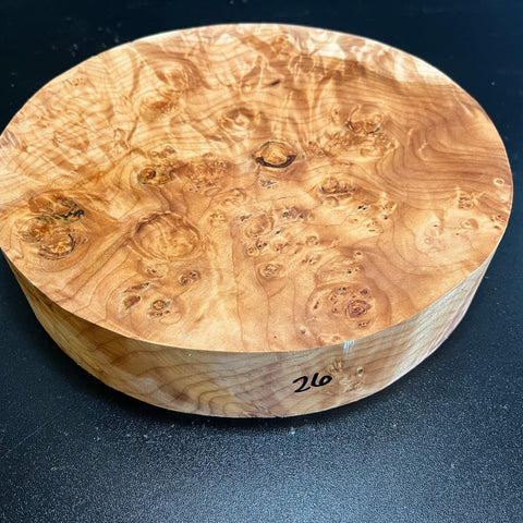 10.5"x2" KD Maple Burl Wood Bowl Turning Blank (#0072)