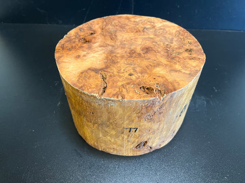 8.5"x5" KD Cottonwood Burl Wood Bowl Turning Blank (#0077)