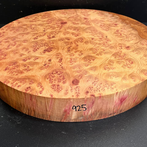 14"x2" Camphor Burl Wood Bowl Turning Blank (#00925)