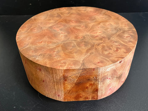 9"x3" Camphor Burl Wood Bowl Turning Blank (#00926)