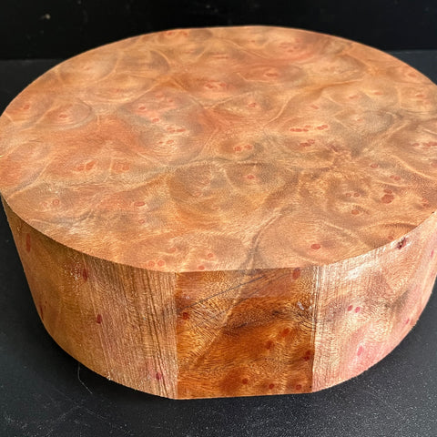 9"x3" Camphor Burl Wood Bowl Turning Blank (#00926)