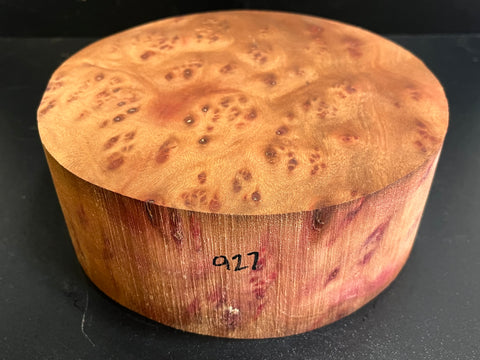 8"x3" Camphor Burl Wood Bowl Turning Blank (#00927)