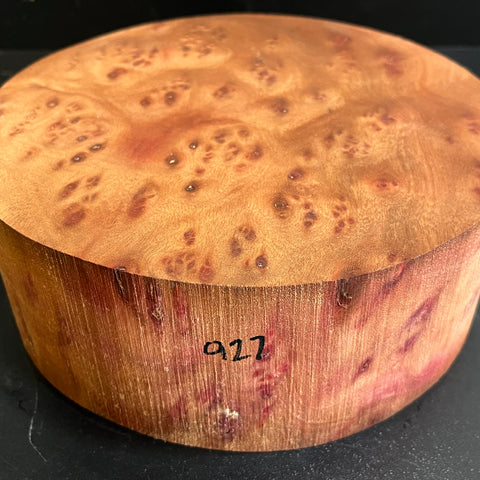 8"x3" Camphor Burl Wood Bowl Turning Blank (#00927)