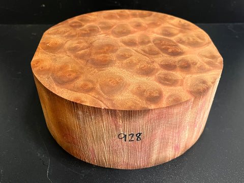 8"x3" Camphor Burl Wood Bowl Turning Blank (#00928)