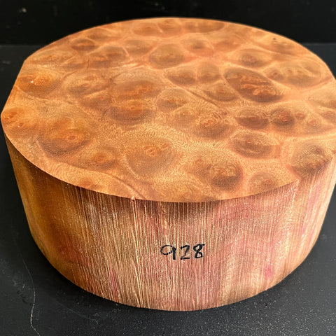 8"x3" Camphor Burl Wood Bowl Turning Blank (#00928)