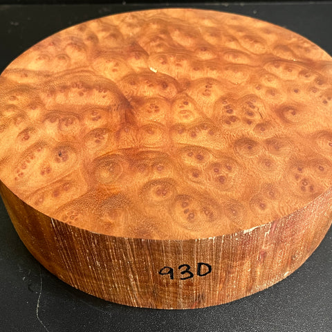 8"x2" Camphor Burl Wood Bowl Turning Blank (#00930)