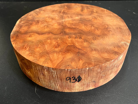8"x2" Camphor Burl Wood Bowl Turning Blank (#00931)