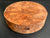 8"x2" Camphor Burl Wood Bowl Turning Blank (#00931)