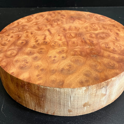8"x2" Camphor Burl Wood Bowl Turning Blank (#00932)