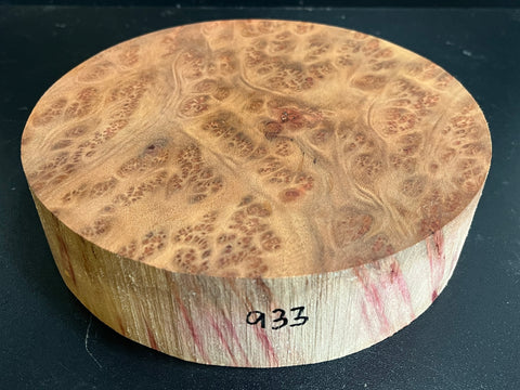 8"x2" Camphor Burl Wood Bowl Turning Blank (#00933)