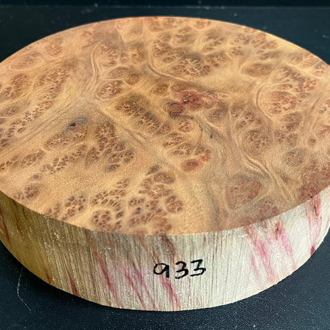 8"x2" Camphor Burl Wood Bowl Turning Blank (#00933)