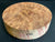 8"x2" Camphor Burl Wood Bowl Turning Blank (#00933)