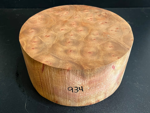7.5"x2.5" Camphor Burl Wood Bowl Turning Blank (#00934)