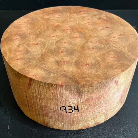 7.5"x2.5" Camphor Burl Wood Bowl Turning Blank (#00934)