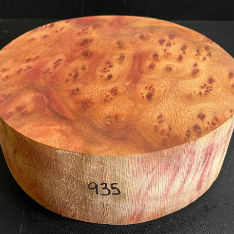 7.5"x2.5" Camphor Burl Wood Bowl Turning Blank (#00935)