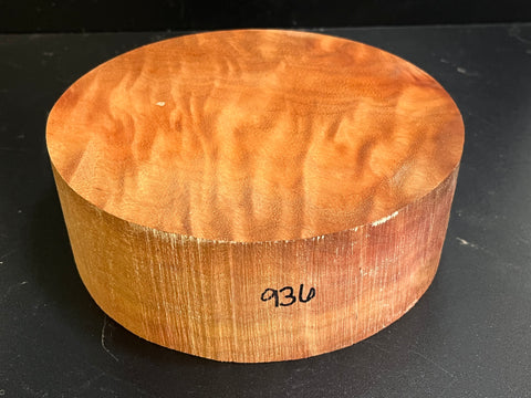 7"x3" Camphor Burl Wood Bowl Turning Blank (#00936)