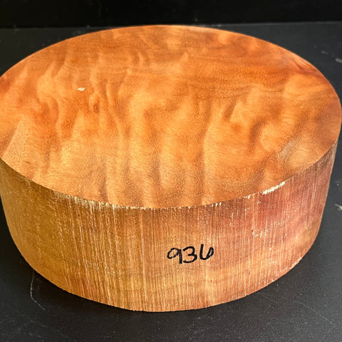 7"x3" Camphor Burl Wood Bowl Turning Blank (#00936)