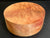 7"x3" Camphor Burl Wood Bowl Turning Blank (#00936)