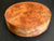 7x1.5 Camphor Burl Wood Bowl Turning Blank (#00938)