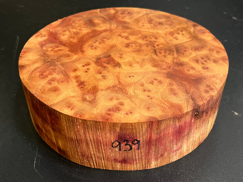 7"x2" Camphor Burl Wood Bowl Turning Blank (#00939)