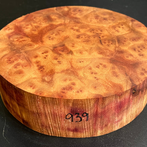 7"x2" Camphor Burl Wood Bowl Turning Blank (#00939)