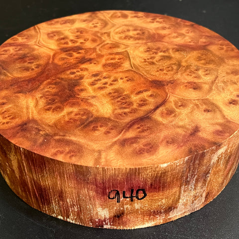 7"x2" Camphor Burl Wood Bowl Turning Blank (#00940)