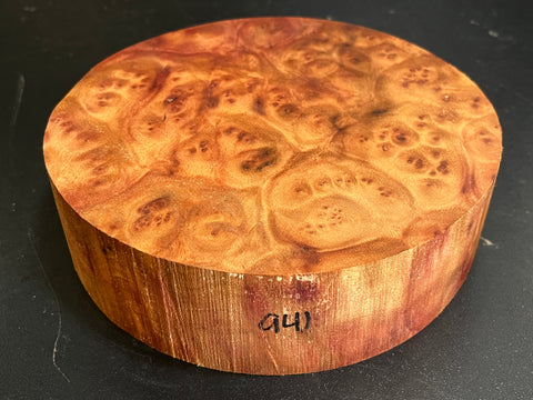 7"x2" Camphor Burl Wood Bowl Turning Blank (#00941)