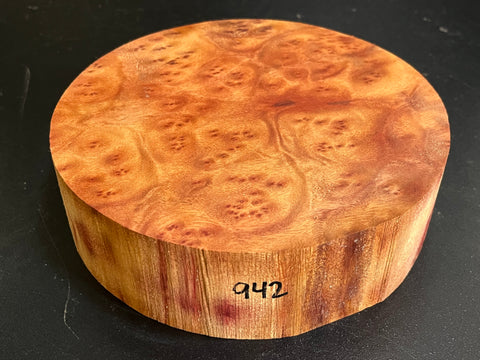 7"x2" Camphor Burl Wood Bowl Turning Blank (#00942)