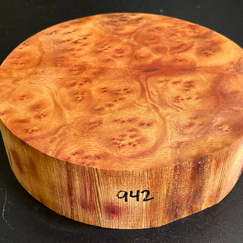 7"x2" Camphor Burl Wood Bowl Turning Blank (#00942)
