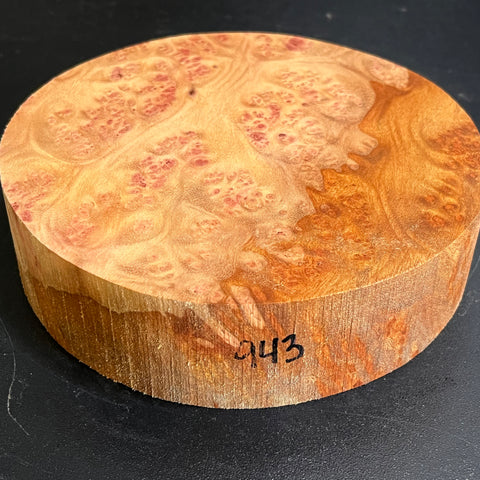 6.5"x1.5" Camphor Burl Wood Bowl Turning Blank (#00943)