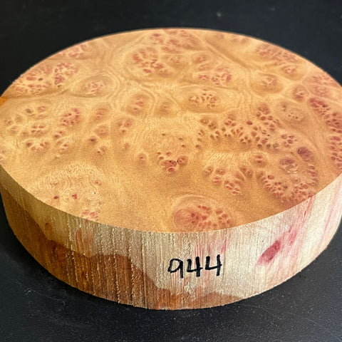 6.5"x1.5" Camphor Burl Wood Bowl Turning Blank (#00944)