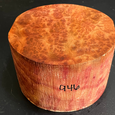 6x3.5 Camphor Burl Wood Bowl Turning Blank (#00946)