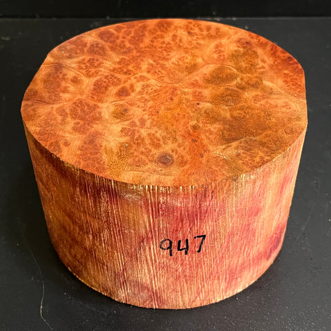 6x3.5 Camphor Burl Wood Bowl Turning Blank (#00947)