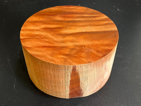 6"x3" Camphor Burl Wood Bowl Turning Blank (#00949)