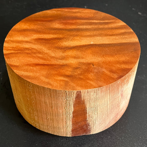 6"x3" Camphor Burl Wood Bowl Turning Blank (#00949)