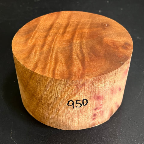 5"x3" Camphor Burl Wood Bowl Turning Blank (#00950)